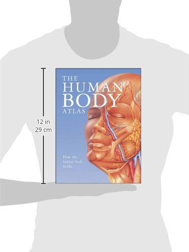 The Human Body Atlas: How The Human Body Works,New