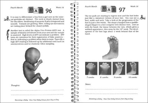 Becoming a Baby: How Your Baby Grows from DaytoDay,Used
