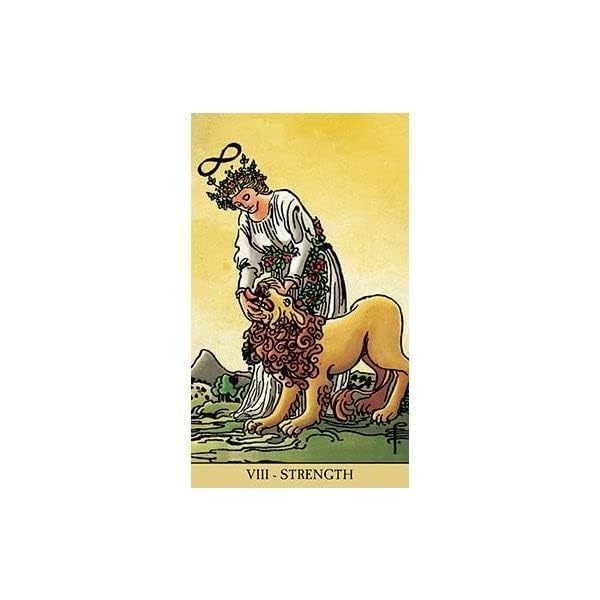 Radiant Wise Spirit Tarot (Radiant Wise Spirit Tarot, 1),Used