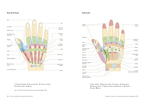 Gua Sha Scraping Massage Techniques: A Natural Way of Prevention and Treatment through Traditional Chinese Medicine,New