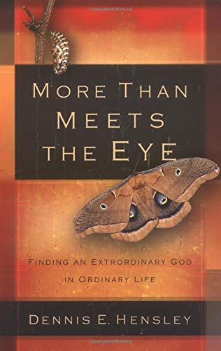 More Than Meets the Eye***OP***: Encountering God Where We Least Expect to Find Him,Used