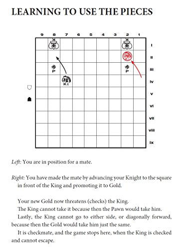 Japanese Chess: The Game of Shogi,New