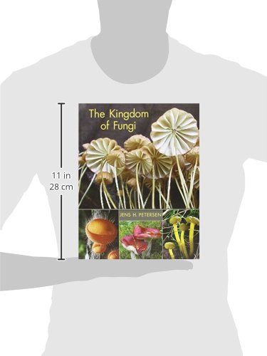 The Kingdom Of Fungi,Used