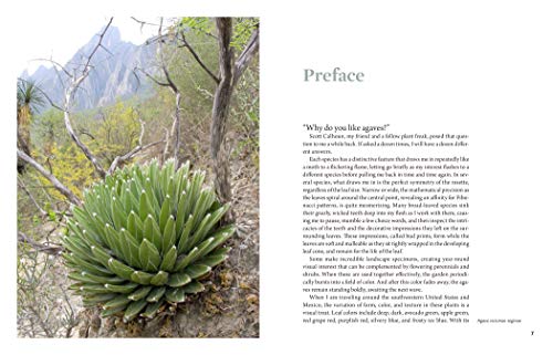 Agaves: Living Sculptures for Landscapes and Containers,Used