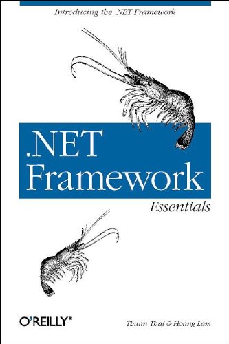 .Net Framework Essentials,New