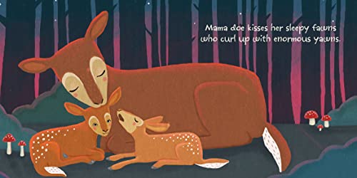 NightNight, Forest Friends,Used