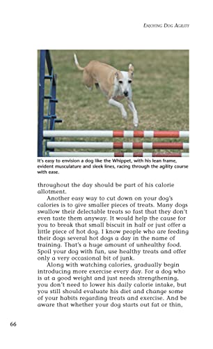 Enjoying Dog Agility, Second Edition (CompanionHouse Books) How to Train Your Dog to Navigate Agility Obstacles  Tunnels, Ramps,Used