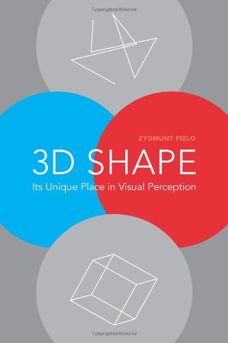 3D Shape: Its Unique Place in Visual Perception,Used