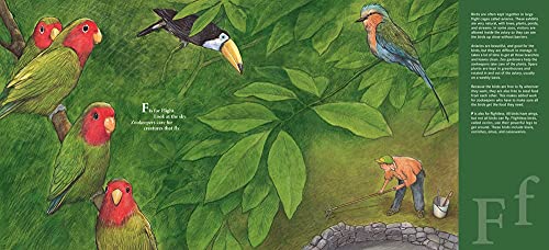 Z Is for Zookeeper: A Zoo Alphabet (Science Alphabet),Used