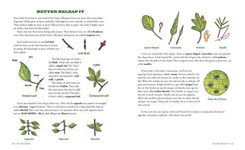 The Tree Book for Kids and Their GrownUps,New