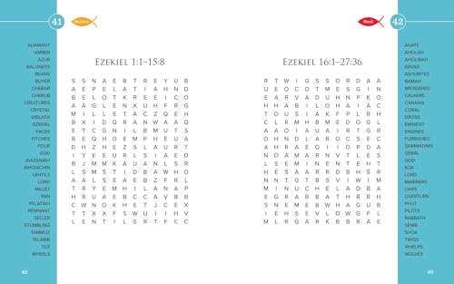 Large Print Bible Word Search Book: 100 Challenging and Fun Puzzles for Adults,Used