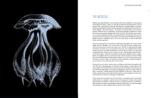 Art Forms from the Abyss: Ernst Haeckel's Images From The HMS Challenger Expedition,Used
