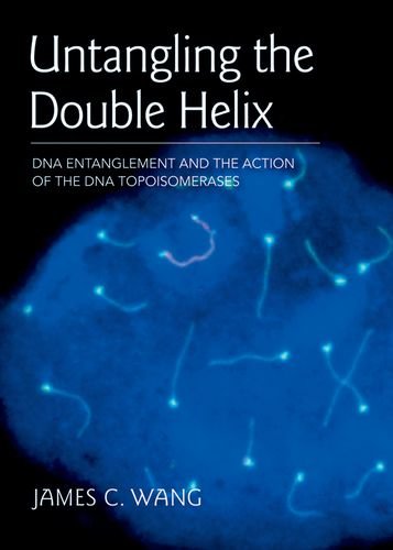 Untangling the Double Helix: DNA Entanglement and the Action of the DNA Topoisomerases,Used