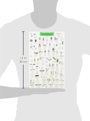 Mac's Field Guides: Midwest Garden Bugs,Used