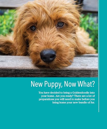 Goldendoodles: Complete Guide to Characteristics, Behavior, Health & Wellness, Training, and Everyday Care for Your Goldendoodle,Used