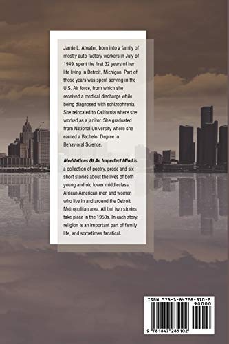 Meditations of an Imperfect Mind,Used