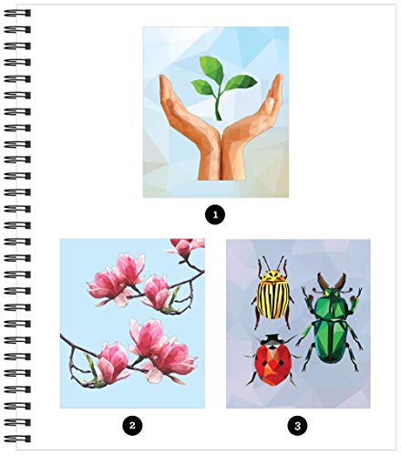 Brain Games  Sticker by Number: Country Garden,New