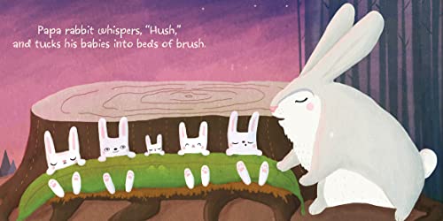 NightNight, Forest Friends,Used