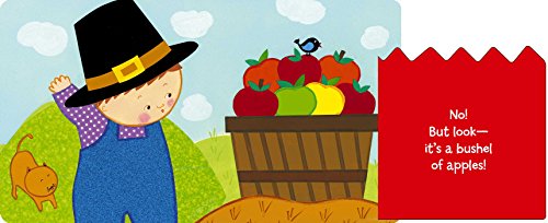 Where Is Baby'S Turkey?: A Karen Katz Lifttheflap Book (Karen Katz Lifttheflap Books),Used