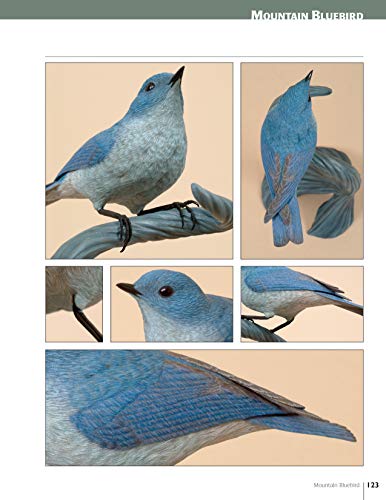 Carving AwardWinning Songbirds: An Encyclopedia of Carving, Sculpting and Painting Techniques (Fox Chapel Publishing) Comprehen,Used