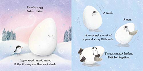 Little Lost Penguin: Padded Board Book,Used