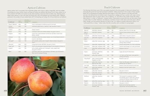 The Fruit Gardener's Bible: A Complete Guide to Growing Fruits and Nuts in the Home Garden,New