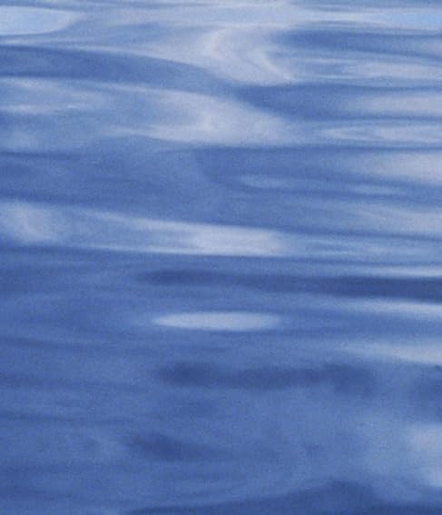 Neurobehavioral Methods in Occupational Health: Proceedings of the International Symposium on Neurobehavioral Methods in Occupat,Used