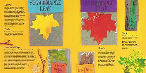 Red Leaf, Yellow Leaf,New