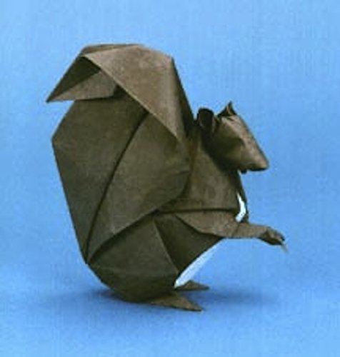 Advanced Origami: An Artist'S Guide To Performances In Paper: Origami Book With 15 Challenging Projects,Used