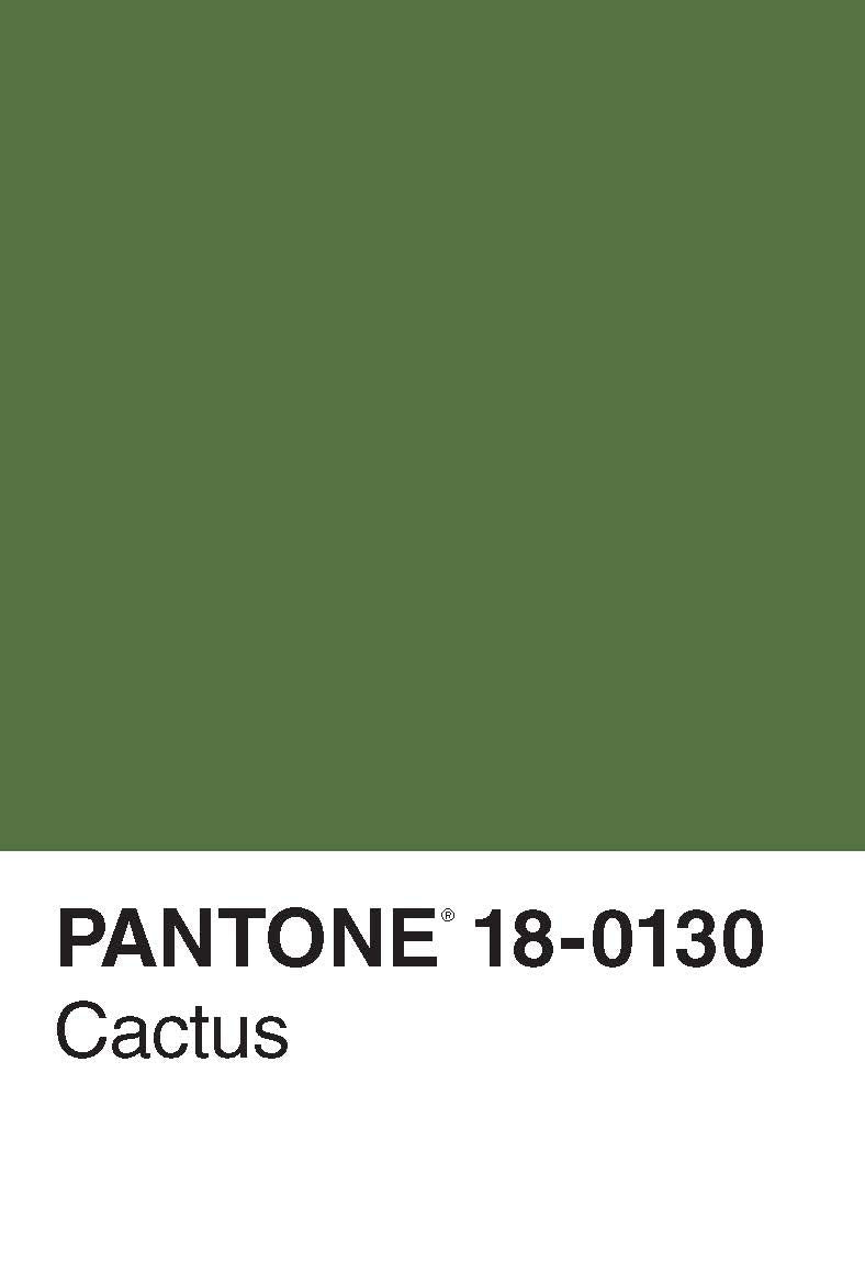 Pantone 50 Postcards,New