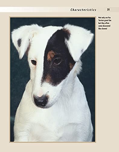 Fox Terrier (CompanionHouse Books) A Kennel Club Book (Comprehensive Owner's Guide),Used