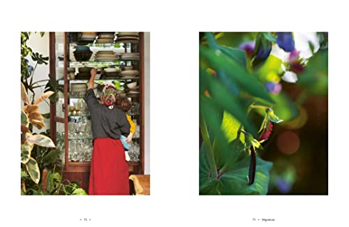 Home Food: 100 Recipes to Comfort and Connect: Ukraine ?Cyprus ?Italy ?England ?and Beyond,Used
