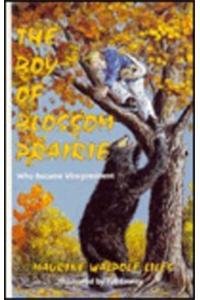 The Boy of Blossom Prairie Who Became VicePresident,Used