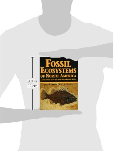Fossil Ecosystems of North America: A Guide to the Sites and Their Extraordinary Biotas,Used