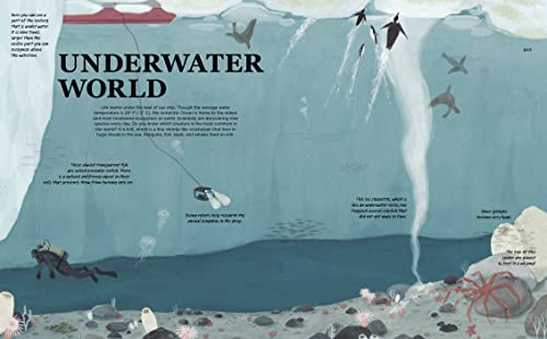 Antarctica: A Continent of Wonder,Used