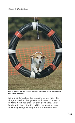 Enjoying Dog Agility, Second Edition (CompanionHouse Books) How to Train Your Dog to Navigate Agility Obstacles  Tunnels, Ramps,Used