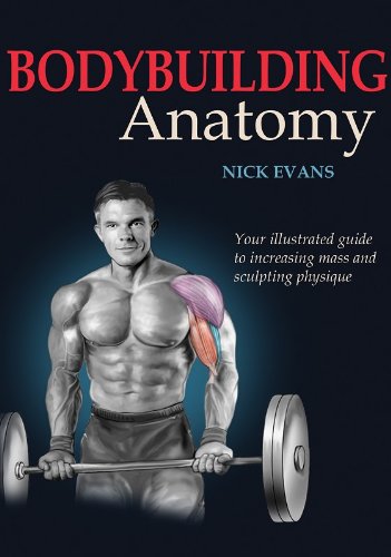 Bodybuilding Anatomy,Used