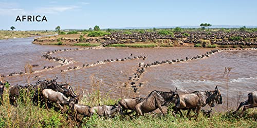 Top Wildlife Sites Of The World,Used
