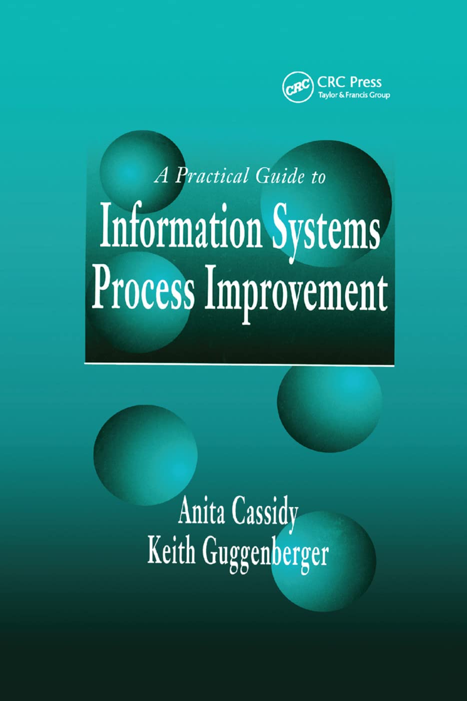 A Practical Guide to Information Systems Process Improvement,Used