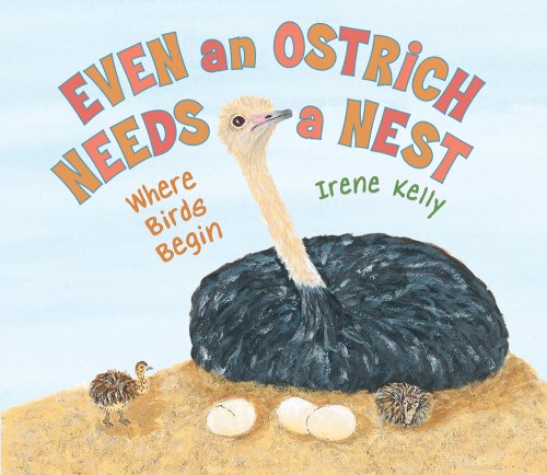 Even an Ostrich Needs a Nest: Where Birds Begin,Used