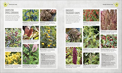 Incredible Edibles: Grow Something Different in Your Fruit and Veg Plot,Used