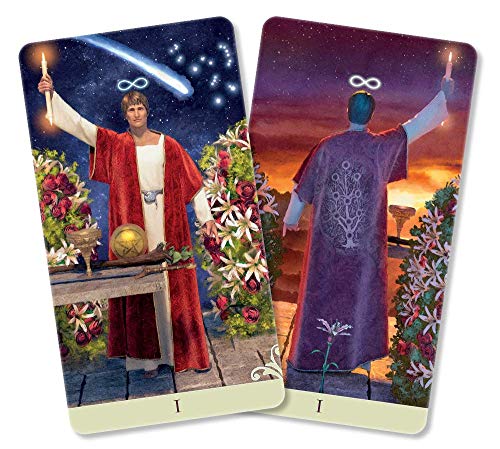 Vice Versa Tarot Kit (Vice Versa Tarot, 1),New