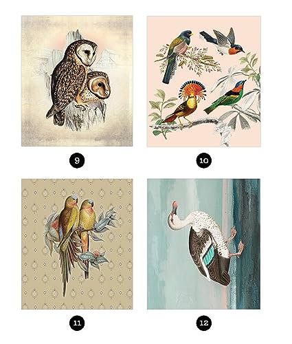 Brain Games  Sticker by Number  Vintage: Birds (28 Images to Sticker),Used