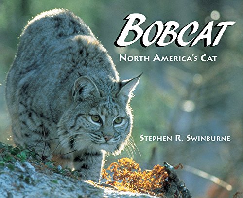 Bobcat,New