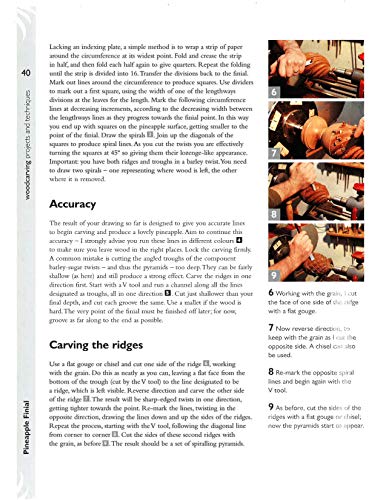 Wood Carving: Projects and Techniques (Fox Chapel Publishing) Comprehensive Reference with 24 Projects, Popular Articles, and Ex,Used