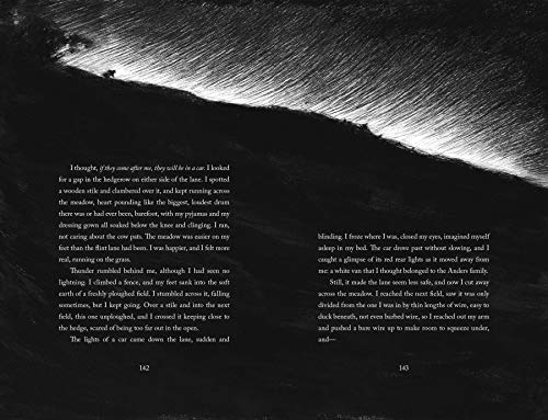 The Ocean At The End Of The Lane (Illustrated Edition),New