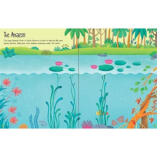 Jungle (Usborne First Sticker Book),Used