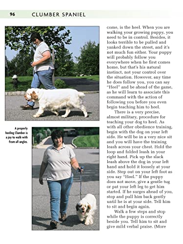 Clumber Spaniel (Comprehensive Owner's Guide),Used