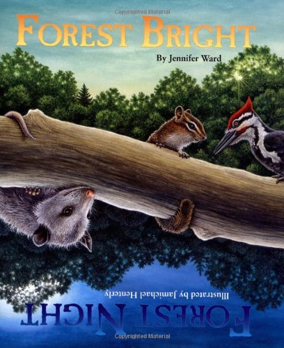 Forest Bright, Forest Night,Used