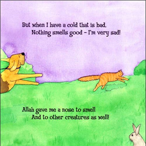 Allah Gave Me a Nose to Smell (Allah the Maker),Used